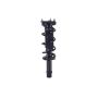 FCS Struts 1337232L Suspension Strut and Coil Spring Assembly