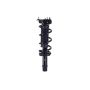FCS Struts 1337232L Suspension Strut and Coil Spring Assembly