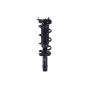 FCS Struts 1337232R Suspension Strut and Coil Spring Assembly