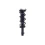 FCS Struts 1337233L Suspension Strut and Coil Spring Assembly