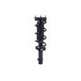 FCS Struts 1337233R Suspension Strut and Coil Spring Assembly