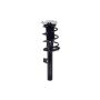 FCS Struts 1337236R Suspension Strut and Coil Spring Assembly