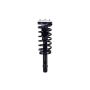 FCS Struts 1337240L Suspension Strut and Coil Spring Assembly
