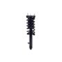 FCS Struts 1343362L Suspension Strut and Coil Spring Assembly