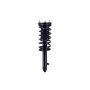 FCS Struts 1343362L Suspension Strut and Coil Spring Assembly
