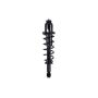 FCS Struts 1345378R Suspension Strut and Coil Spring Assembly