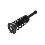 FCS Struts 1345395 Suspension Strut and Coil Spring Assembly
