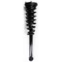 FCS Struts 1345399 Suspension Strut and Coil Spring Assembly