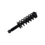 FCS Struts 1345402 Suspension Strut and Coil Spring Assembly