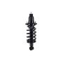 FCS Struts 1345403L Suspension Strut and Coil Spring Assembly