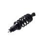 FCS Struts 1345403L Suspension Strut and Coil Spring Assembly