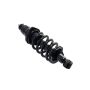 FCS Struts 1345403L Suspension Strut and Coil Spring Assembly