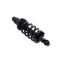 FCS Struts 1345403R Suspension Strut and Coil Spring Assembly