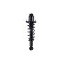 FCS Struts 1345404L Suspension Strut and Coil Spring Assembly