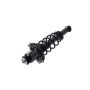 FCS Struts 1345404L Suspension Strut and Coil Spring Assembly
