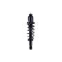 FCS Struts 1345404R Suspension Strut and Coil Spring Assembly
