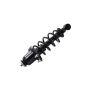FCS Struts 1345406L Suspension Strut and Coil Spring Assembly