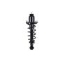 FCS Struts 1345406L Suspension Strut and Coil Spring Assembly
