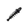 FCS Struts 1345406L Suspension Strut and Coil Spring Assembly