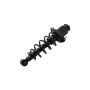 FCS Struts 1345406R Suspension Strut and Coil Spring Assembly