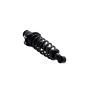 FCS Struts 1345407L Suspension Strut and Coil Spring Assembly