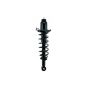 FCS Struts 1345409L Suspension Strut and Coil Spring Assembly
