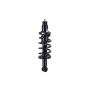 FCS Struts 1345416L Suspension Strut and Coil Spring Assembly