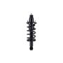 FCS Struts 1345416L Suspension Strut and Coil Spring Assembly