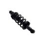 FCS Struts 1345416L Suspension Strut and Coil Spring Assembly