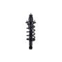 FCS Struts 1345416R Suspension Strut and Coil Spring Assembly