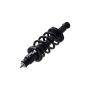 FCS Struts 1345416R Suspension Strut and Coil Spring Assembly