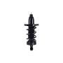 FCS Struts 1345417L Suspension Strut and Coil Spring Assembly
