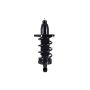 FCS Struts 1345417R Suspension Strut and Coil Spring Assembly