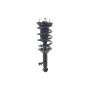 FCS Struts 1345434 Suspension Strut and Coil Spring Assembly