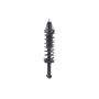 FCS Struts 1345436 Suspension Strut and Coil Spring Assembly