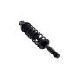 FCS Struts 1345436 Suspension Strut and Coil Spring Assembly
