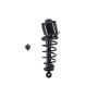 FCS Struts 1345453R Suspension Strut and Coil Spring Assembly