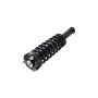 FCS Struts 1345455 Suspension Strut and Coil Spring Assembly