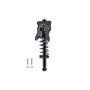 FCS Struts 1345459L Suspension Strut and Coil Spring Assembly