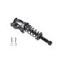 FCS Struts 1345459L Suspension Strut and Coil Spring Assembly
