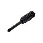 FCS Struts 1345478 Suspension Strut and Coil Spring Assembly