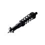 FCS Struts 1345480R Suspension Strut and Coil Spring Assembly