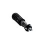 FCS Struts 1345480R Suspension Strut and Coil Spring Assembly