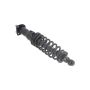FCS Struts 1345481L Suspension Strut and Coil Spring Assembly