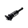 FCS Struts 1345490L Suspension Strut and Coil Spring Assembly