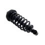 FCS Struts 1345540 Suspension Strut and Coil Spring Assembly