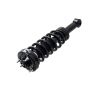 FCS Struts 1345562 Suspension Strut and Coil Spring Assembly
