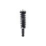 FCS Struts 1345564L Suspension Strut and Coil Spring Assembly
