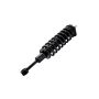 FCS Struts 1345566R Suspension Strut and Coil Spring Assembly