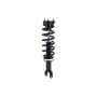 FCS Struts 1345567 Suspension Strut and Coil Spring Assembly